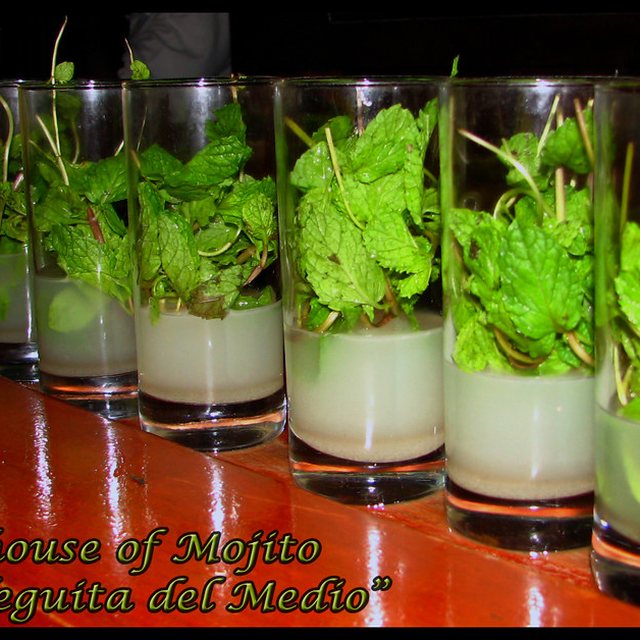 Mojito